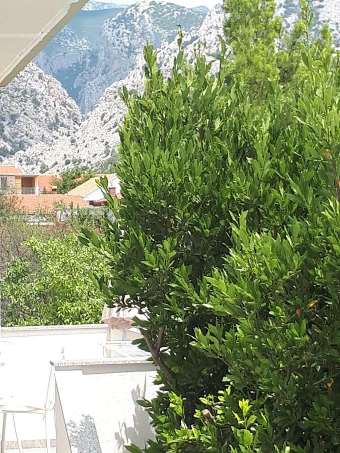 Apartmani Korina Starigrad Paklenica Bagian luar foto