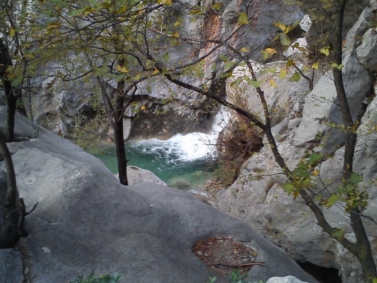 Apartmani Korina Starigrad Paklenica Bagian luar foto