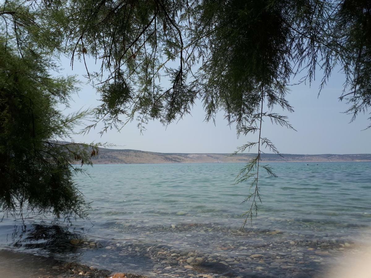 Apartmani Korina Starigrad Paklenica Bagian luar foto